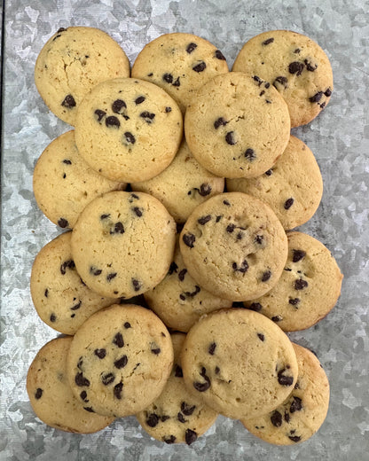 Chocolate Chip Cookie