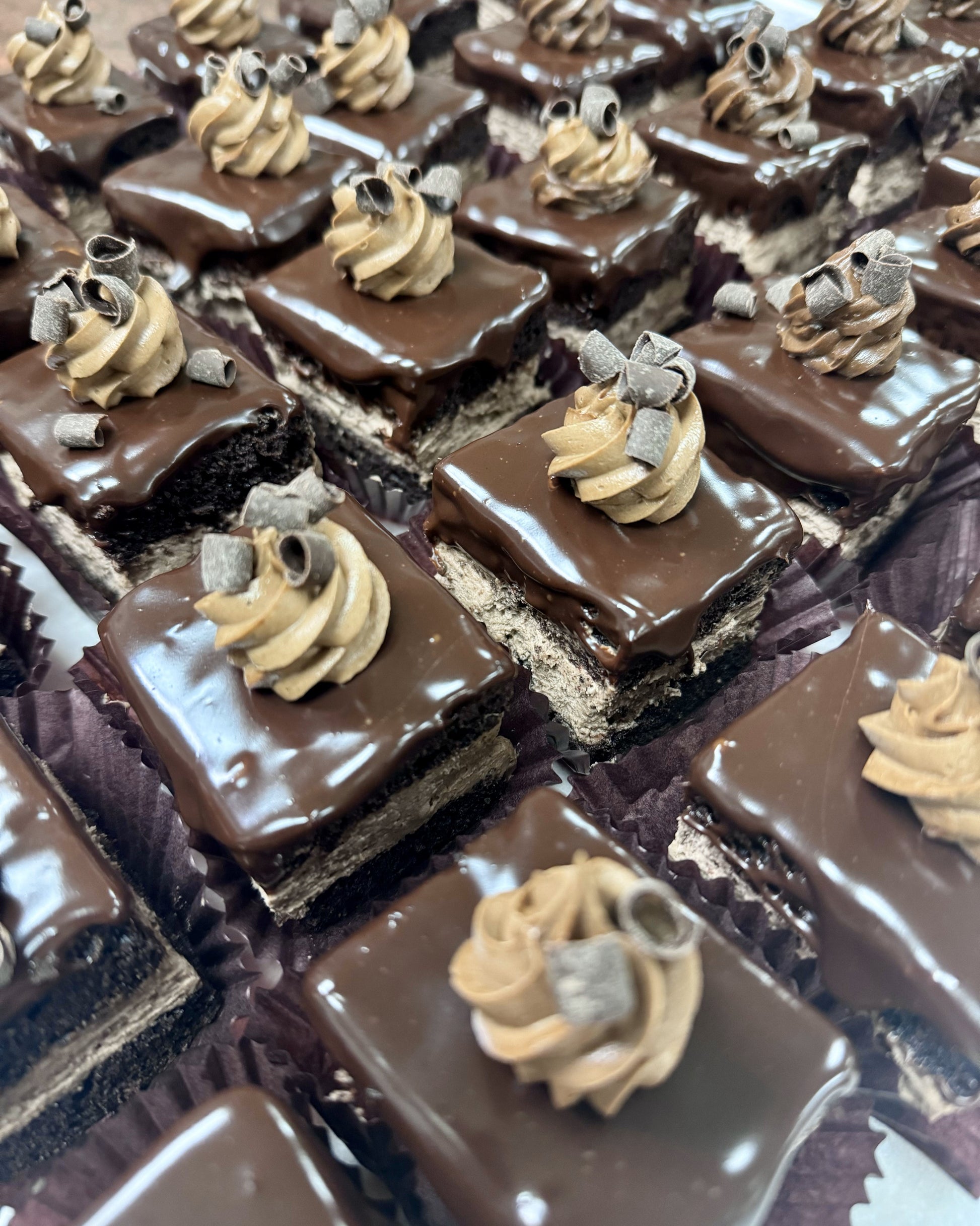 Chocolate Mousse Cake Slice