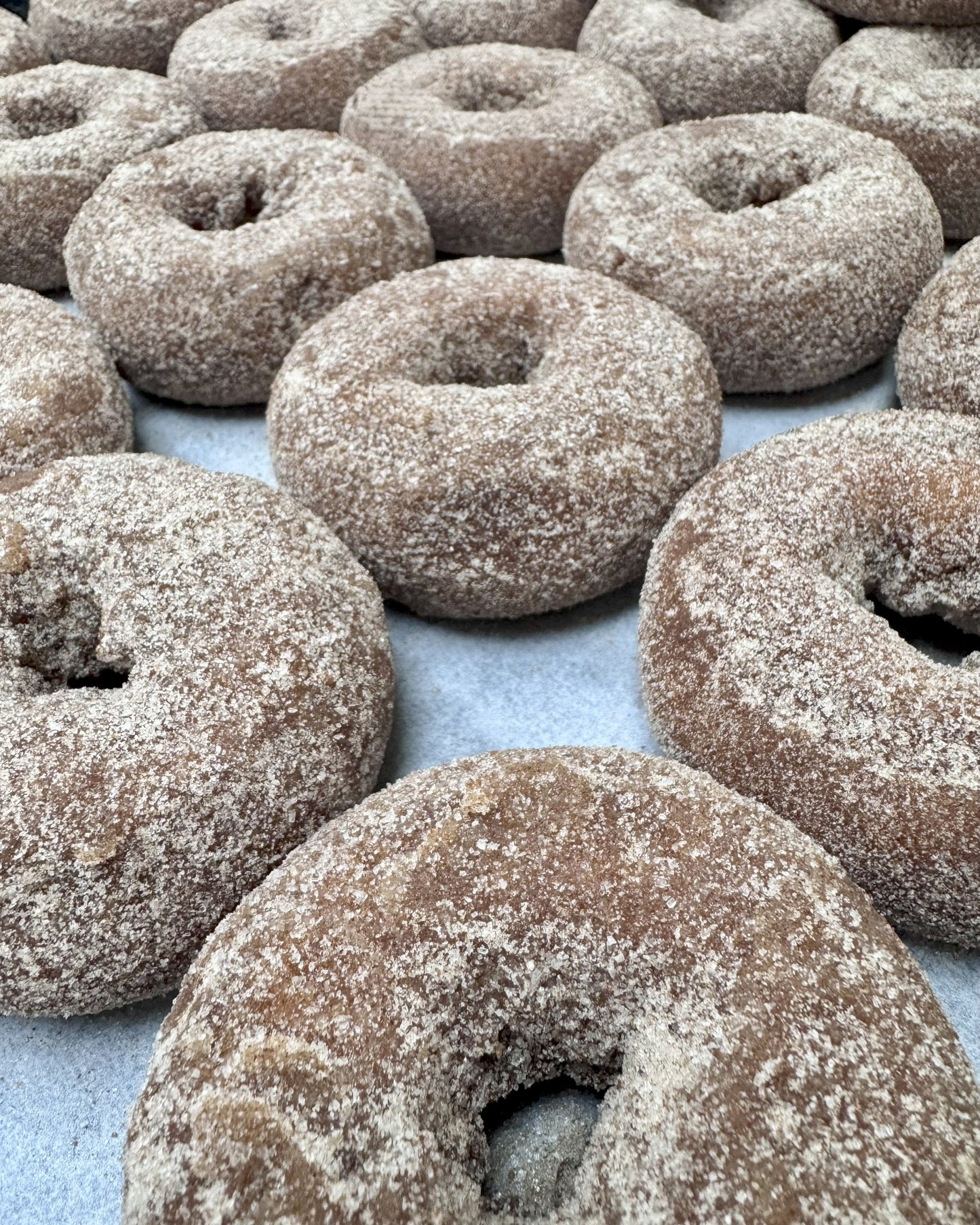 Pumpkin donuts